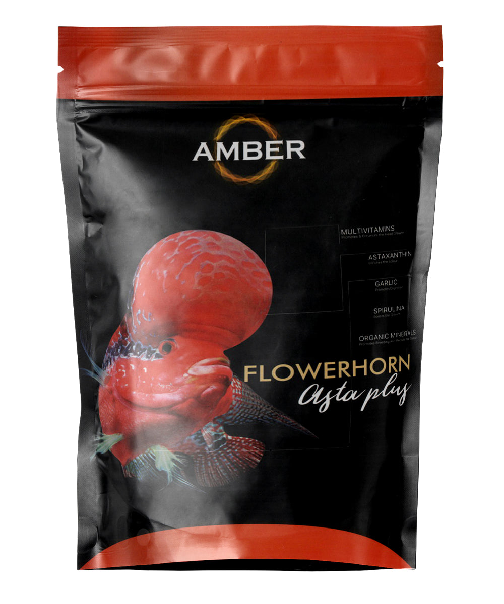 Flower Horn Asta Plus Food Pouch