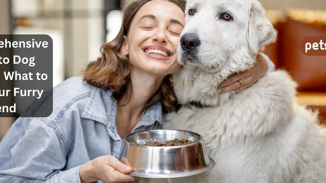 A Comprehensive Guide to Dog Nutrition What to Feed Your Furry Friend