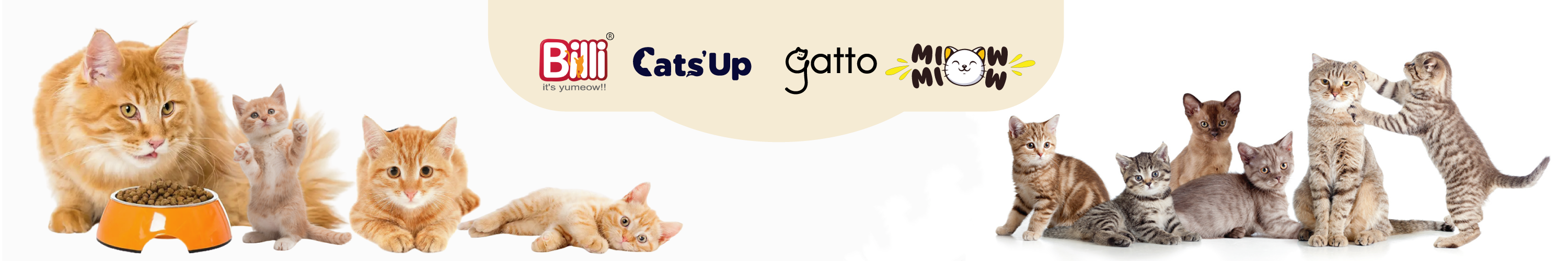 Miow Miow Dry Cat Food for Adult and Kittens with complete and balanced nutrition food