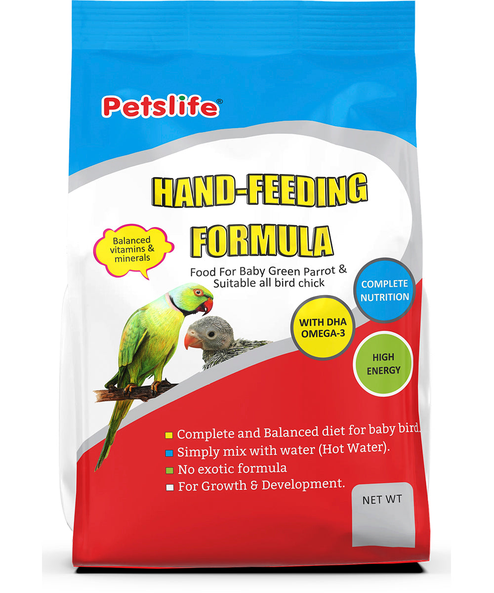 Parrot food hot sale shop